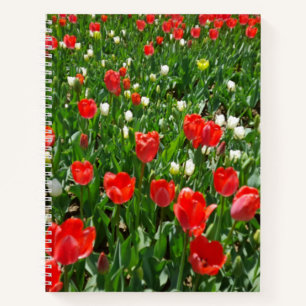 Carnet Fleur rouge Tulip Photo