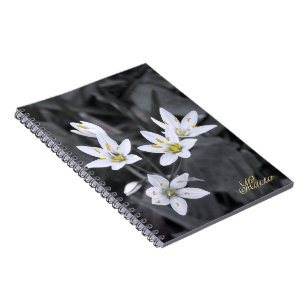 Carnet Fleur sauvage Cluster Macro photo BW/Carnets coule