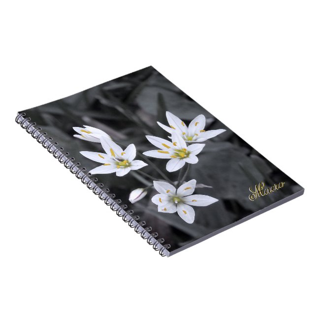 Carnet Fleur sauvage Cluster Macro photo BW/Carnets coule (Côté Droit)