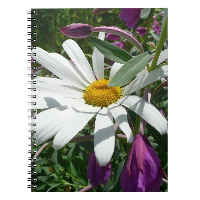 Carnet Fleur sauvage Daisy et Fireweed (Devant)