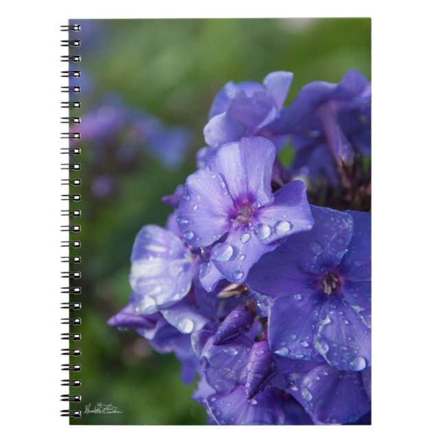 Carnet fleur violet avec la rosée du matin (Devant)