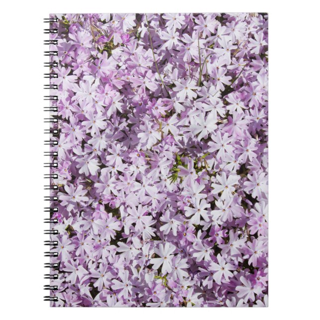 Carnet Fleur violette, cadre de fraîcheur estivale. (Devant)