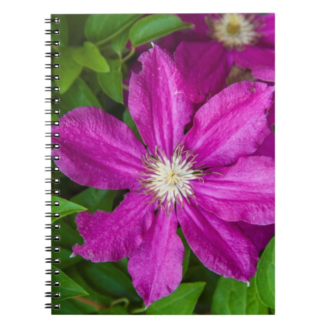 Carnet Fleurs à Robinette's Apple Haus et Gift Barn (Devant)