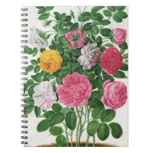 Carnet Fleurs anciennes en fleurs, roses de jardin de pri