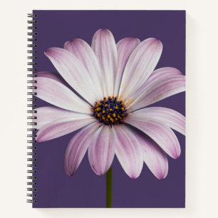 Carnet Fleurs Blancs et marguerites