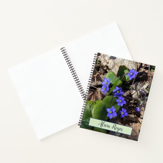 Carnet Fleurs bleues, hepatica (Intérieur)