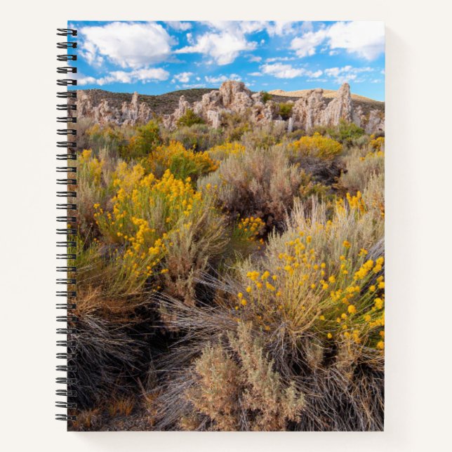 Carnet Fleurs | Blooming Sagebrush Californie (Devant)
