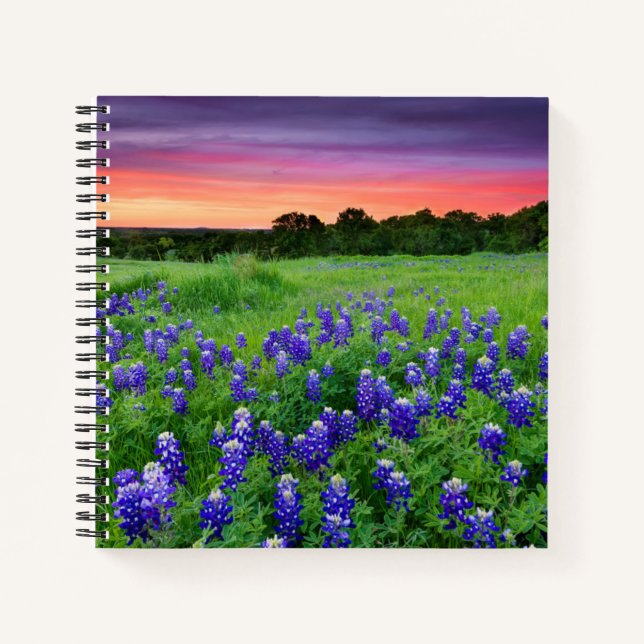 Carnet Fleurs | Bluebonnets à Sunset Texas (Devant)