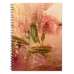 Carnet Fleurs congelées et feuilles. Les fleurs dans le b