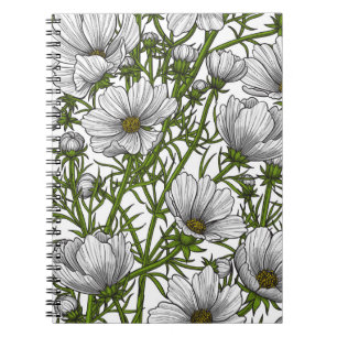 Carnet Fleurs cosmos blanches