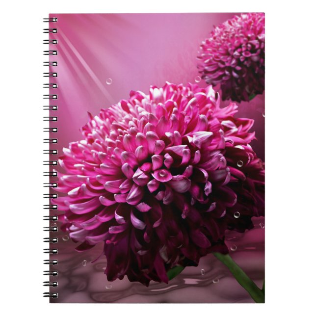 Carnet Fleurs Dahlia (Devant)