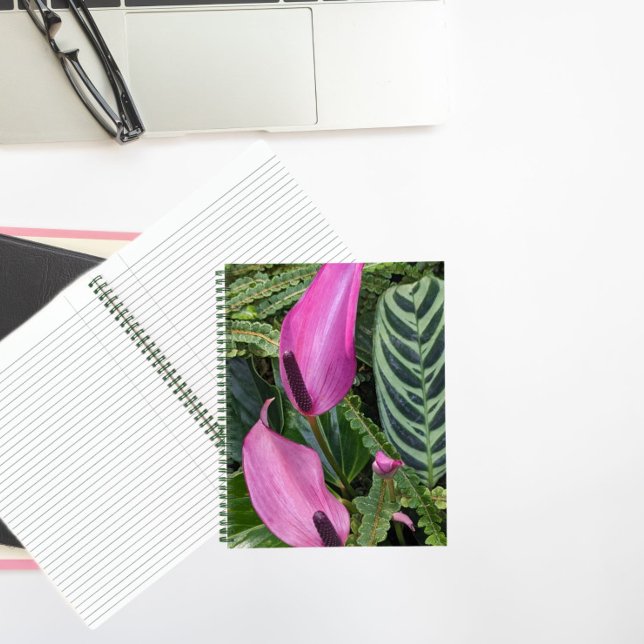 Carnet Fleurs d'anthurium rose et feuillage (In Situ)