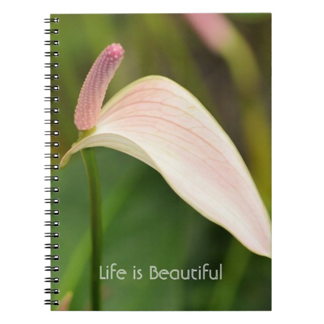 Carnet Fleurs d'anthurium rose Kauai (Devant)