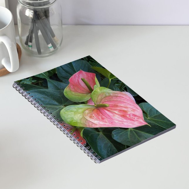 Carnet Fleurs d'anthurium roses Floral (In Situ)