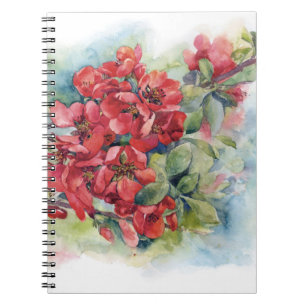 Carnet Fleurs d'aquarelle fleurs de coing rouge pomme ill