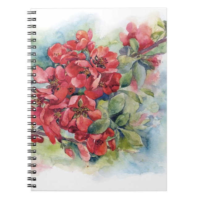 Carnet Fleurs d'aquarelle fleurs de coing rouge pomme ill (Devant)