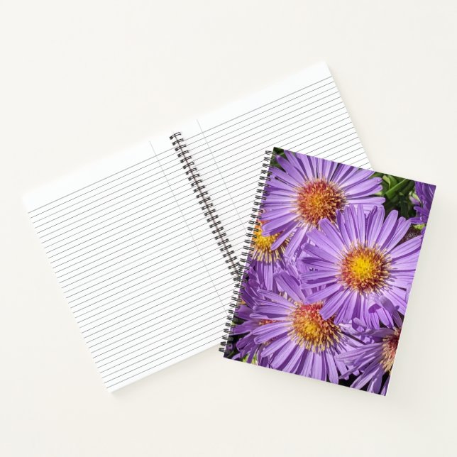 Carnet Fleurs d'aster violettes Floral (Intérieur)