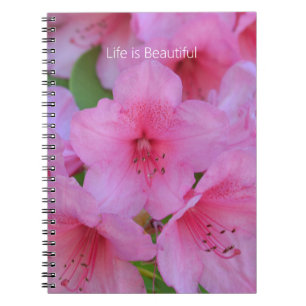 Carnet Fleurs d'azalée rose (ma photographie)