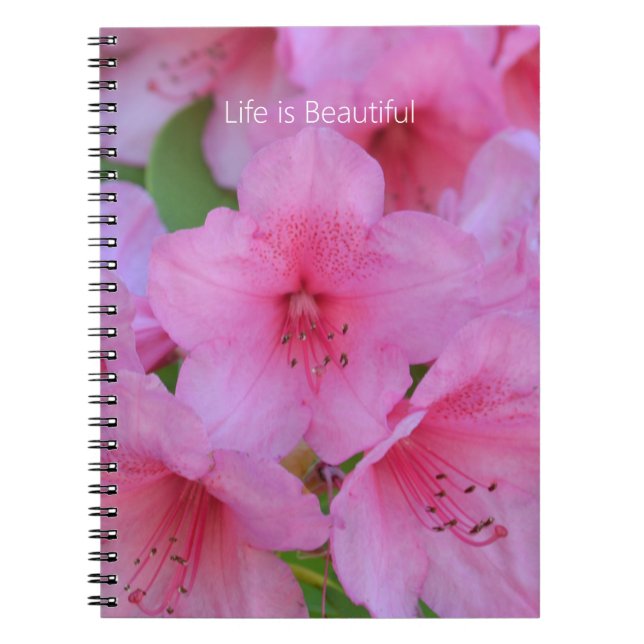 Carnet Fleurs d'azalée rose (ma photographie) (Devant)