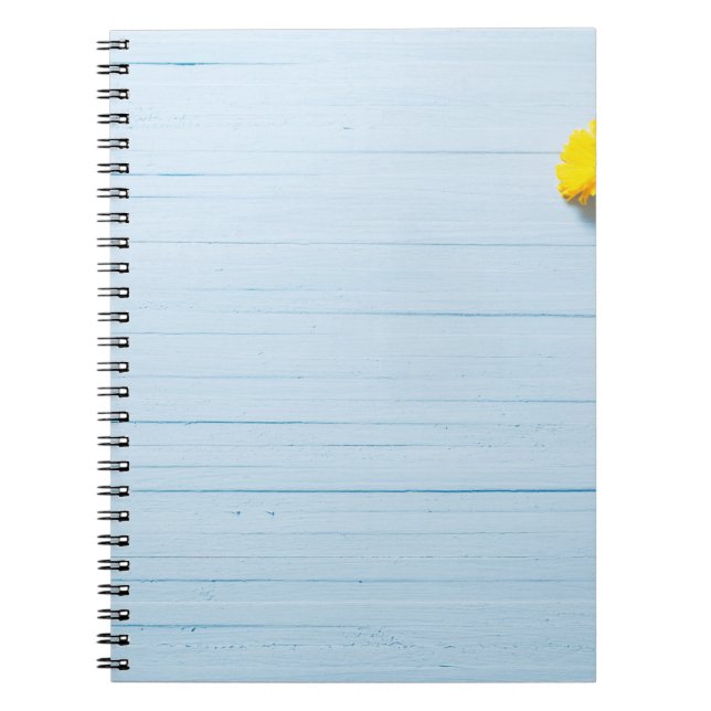 Carnet Fleurs de Calendula : Arrière - plan en bois bleu (Devant)