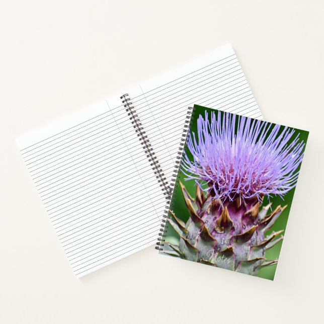 Carnet Fleurs de Cardon Violet Botanique (Intérieur)