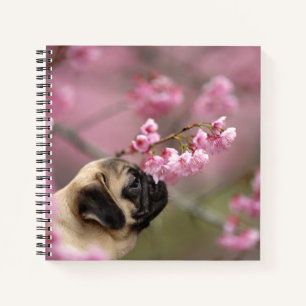 Carnet Fleurs de cerises de carlin