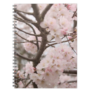 Carnet Fleurs de cerisier