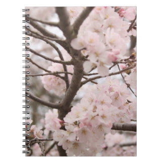 Carnet Fleurs de cerisier
