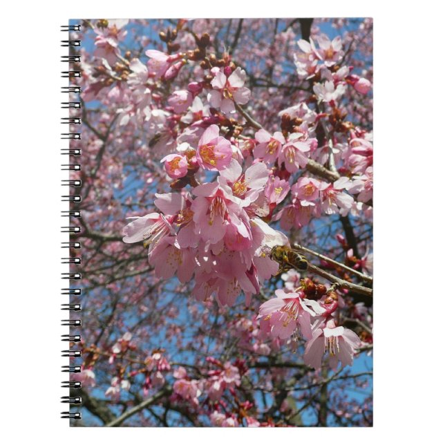 Carnet Fleurs de cerisier et fleurs de printemps roses d' (Devant)