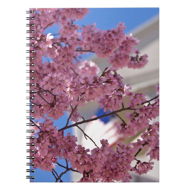 Carnet Fleurs de cerisier Sakura Americana (Devant)