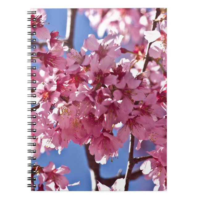 Carnet Fleurs de cerisier Sakura Étoiles rouges (Devant)