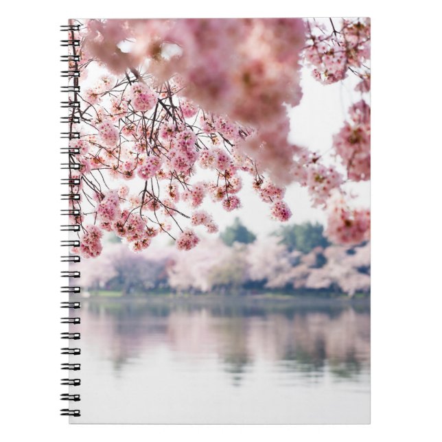 Carnet Fleurs de cerisiers (Devant)