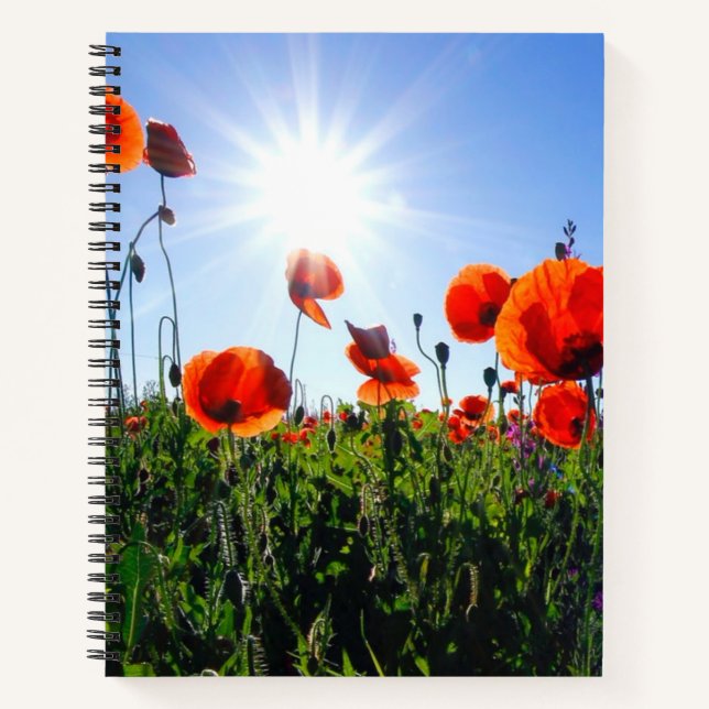 Carnet Fleurs de crapets rouges sauvages (Devant)