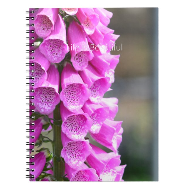 Carnet Fleurs de digitale rose (ma photographie) (Devant)