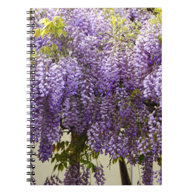 Carnet Fleurs de glycine violette (Devant)
