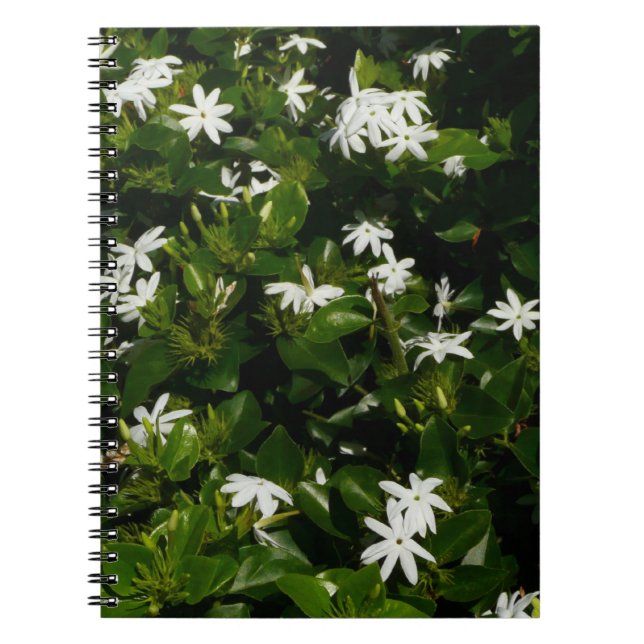 Carnet Fleurs de jasmin Botanique tropicale florale (Devant)