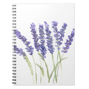 Carnet Fleurs de lavande