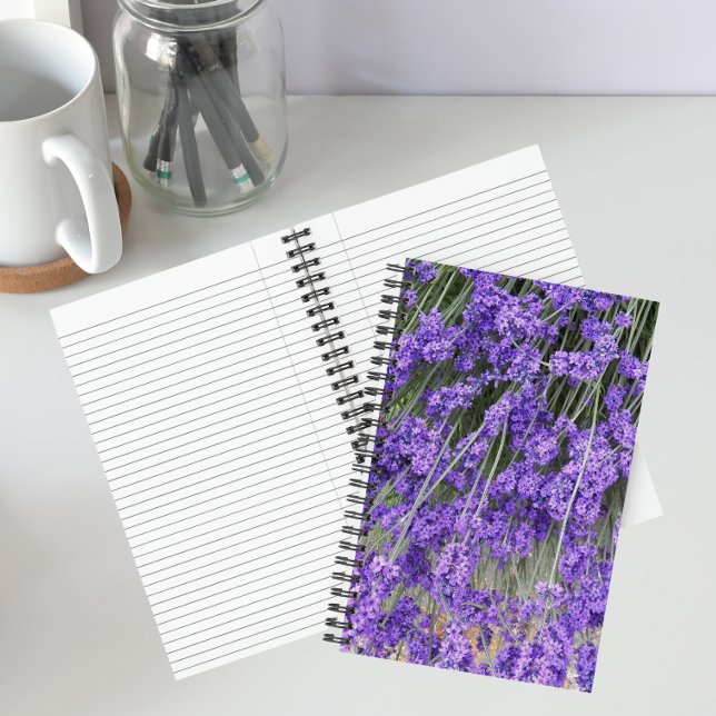 Carnet Fleurs de Lavande Herbacée (In Situ)