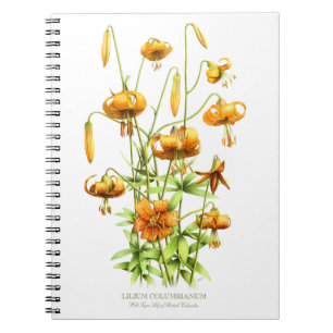 Carnet Fleurs de Lis Sauvage Orange Tigre Dessin Botaniqu