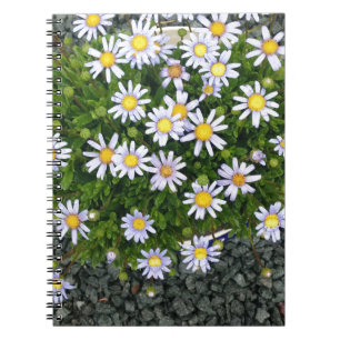 Carnet Fleurs de Margarita jaune blanc avec cailloux gris