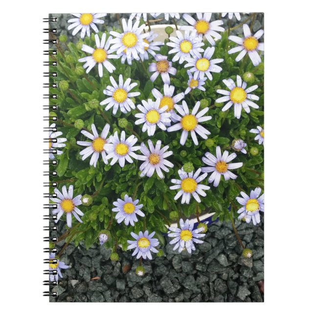 Carnet Fleurs de Margarita jaune blanc avec cailloux gris (Devant)