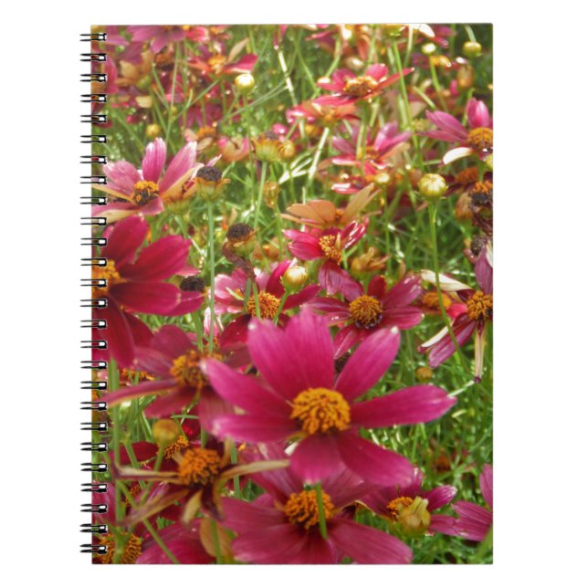 Carnet Fleurs de marguerite rose et jaune brillantes (Devant)