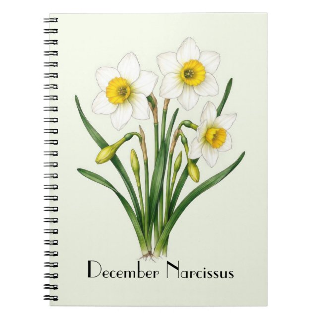 Carnet Fleurs de Narcisse de Décembre (Devant)