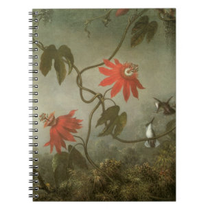 Carnet Fleurs de passion et colibris par Martin J Heade