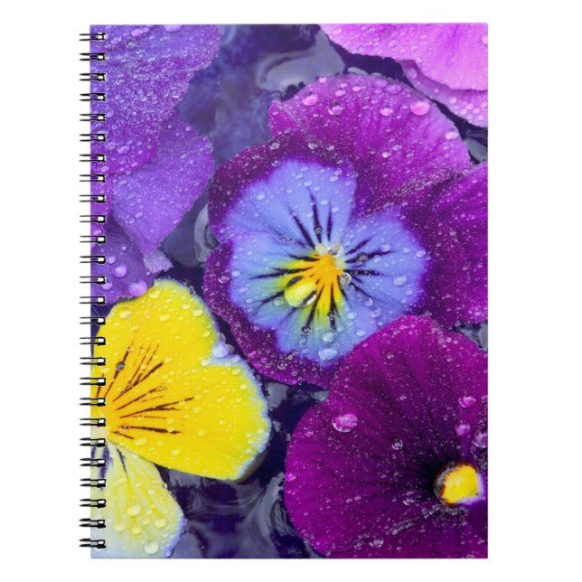 Carnet Fleurs de pensée flottant dans un bain d'oiseau av (Devant)