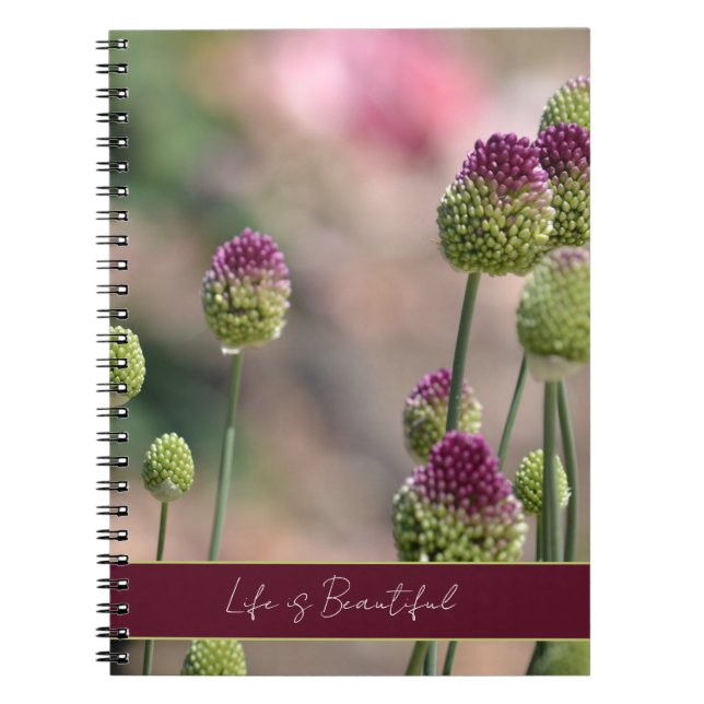 Carnet Fleurs de trèfle vert pourpre   (Devant)