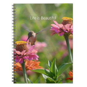 Carnet Fleurs de Zinnia Rose Colibri (ma photographie)