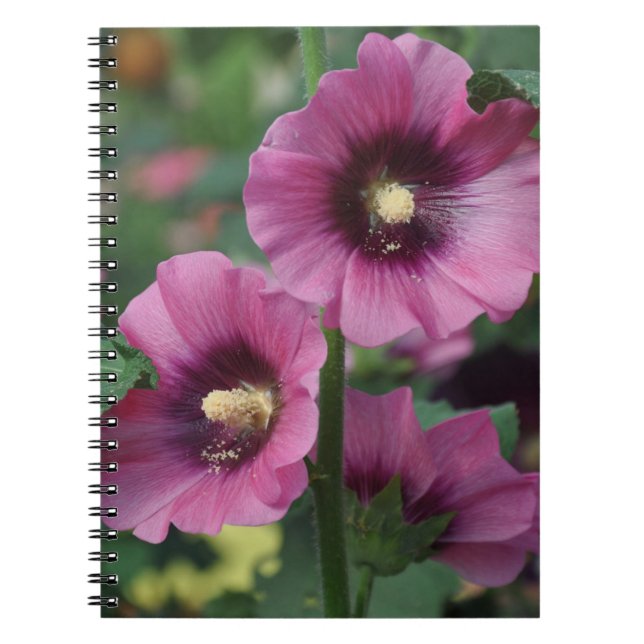 Carnet Fleurs d'hibiscus pourpres (Devant)