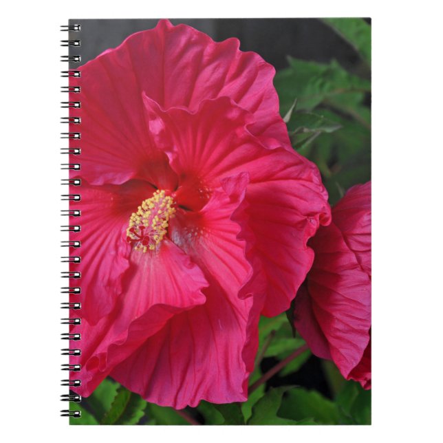 Carnet Fleurs d'hibiscus roses (Devant)