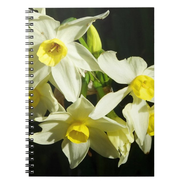Carnet Fleurs d'hiver (Devant)